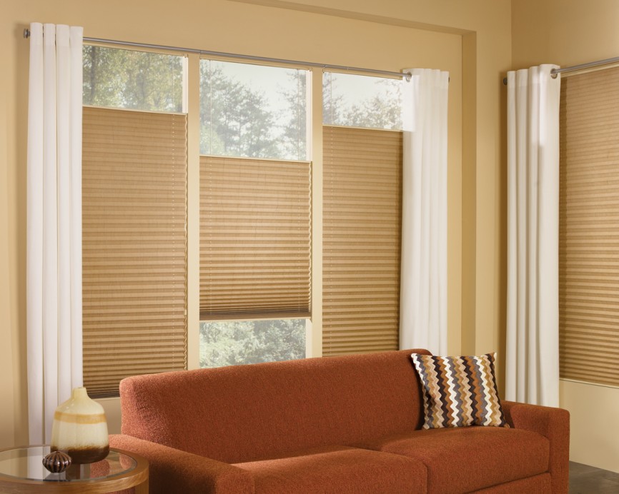 Hunter Douglas Brilliance™ Pleated Shades - Welcome to Colorado Blinds